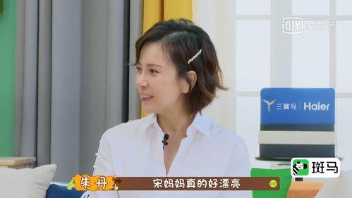 娱乐圈吃瓜合集网盘下载 热门大瓜今日吃瓜娜娜视频,热门大瓜今日汇总，娜娜视频带你一网打尽
